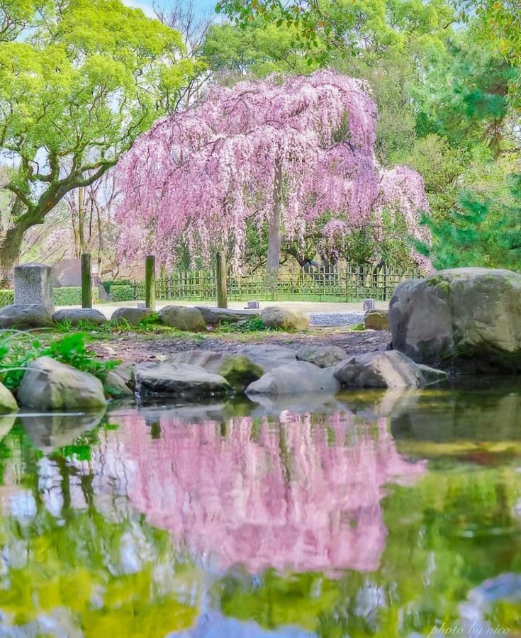 Tsurui Goshonishi 鶴居御所西 Villa Kyoto Exteriör bild
